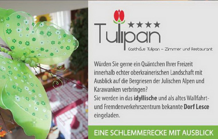 tulipan_1